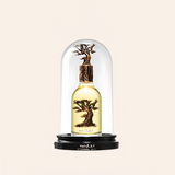Lattafa Eternal Oud
