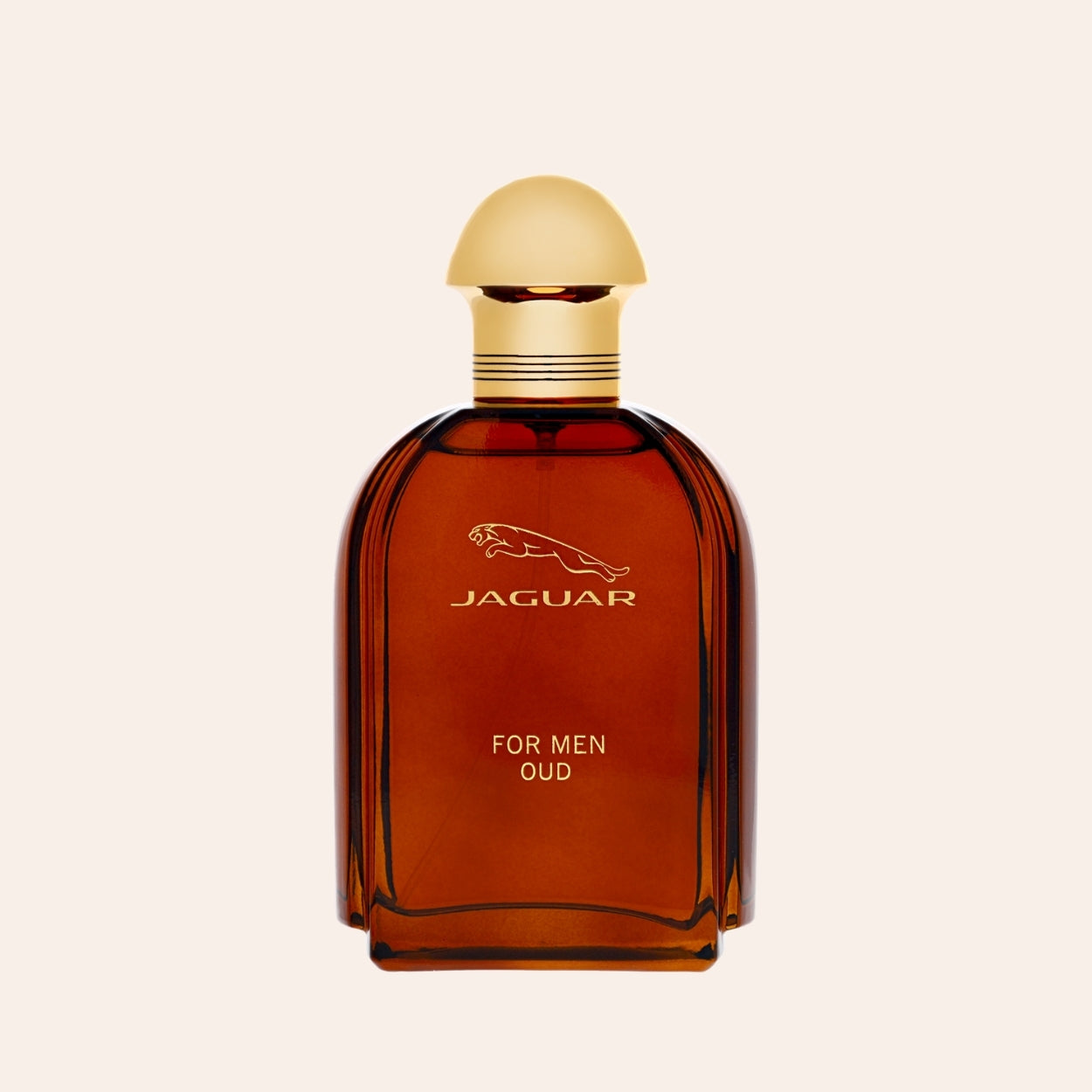 Jaguar For Men Oud 100 ml