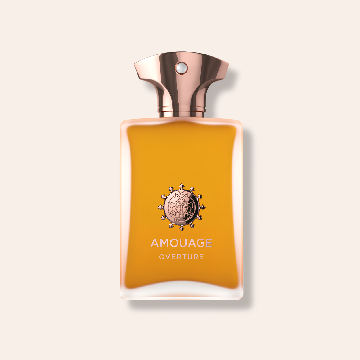 Amouage Overture Man 100 ml