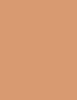 Clinique Stay-Matte Sheer Pressed Powder 7,6 ml