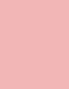 BOURJOIS Paris Little Round Pot Blush 2,5 ml - 2,5ml - Tvářenka