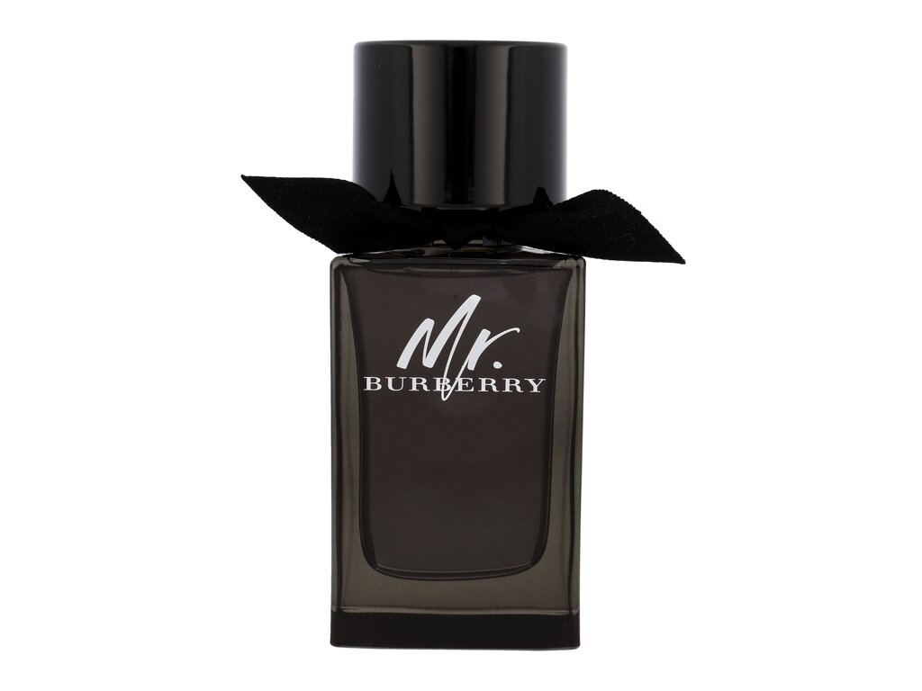 Burberry Mr. 100 ml - 100ml - Parfémovaná voda