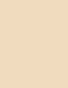 Dermacol Invisible Fixing Powder 13 ml - 13ml - Pudr