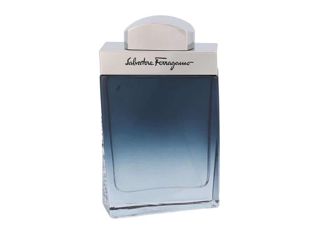 Ferragamo Subtil Pour Homme 50 ml - 50ml - Toaletní voda