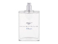 Ford Mustang Classic 100 ml - 100ml - Toaletní voda