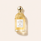 Guerlain Aqua Allegoria Mandarine Basilic