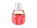 Hollister Festival Vibes 100 ml - 100ml - Parfémovaná voda