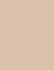 L’Oréal Paris True Match Super-Blendable Foundation 30 ml - 30ml - Makeup