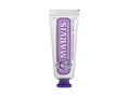Marvis Jasmin Mint 25 ml - 25ml - Zubní pasta