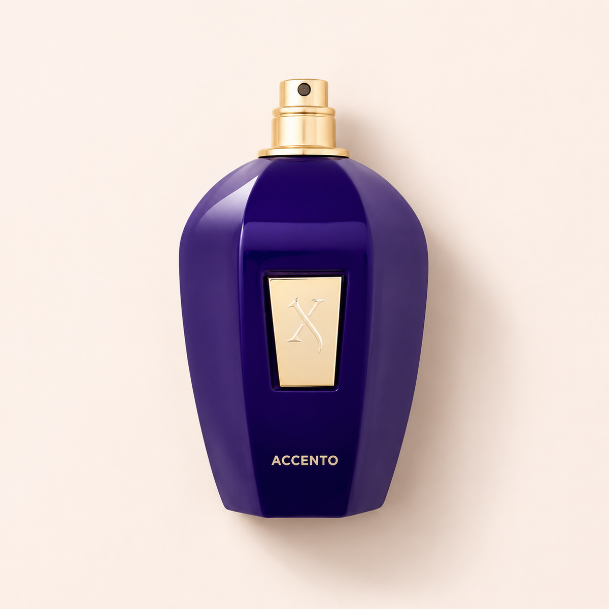 Xerjoff V Collection Accento EDP 100 ml – MrRizz