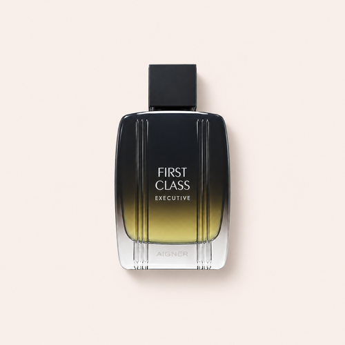 Aigner First Class Executive 100 ml – MrRizz