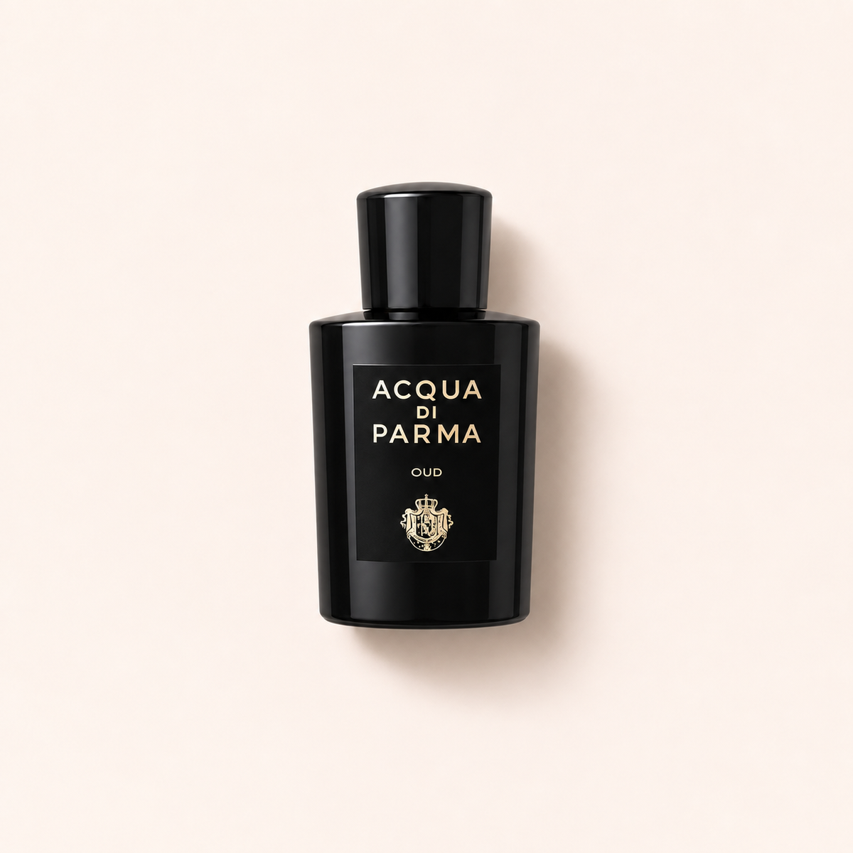 Acqua di Parma Signatures Of The Sun Oud 100 ml – MrRizz