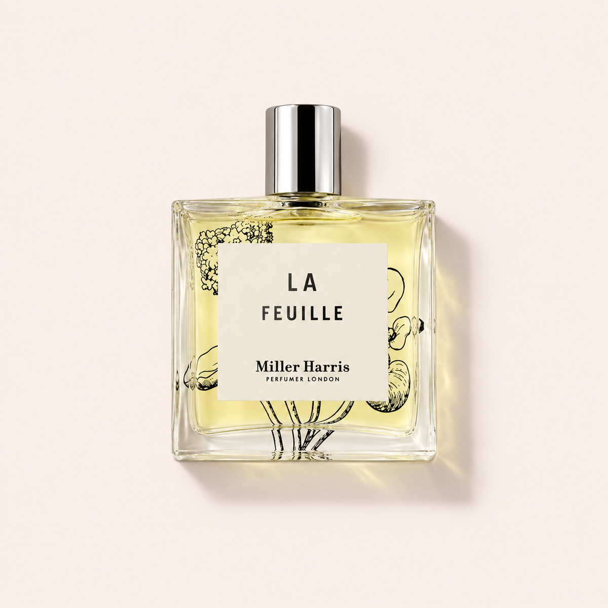 Miller Harris La Feuille EDP 100 ml – MrRizz