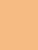 Shiseido Synchro Skin Self-Refreshing 5,8 ml - 5,8ml - Korektor