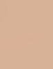 Shiseido Synchro Skin Self-Refreshing Custom Finish Powder Foundation 9 ml - 9ml - Makeup