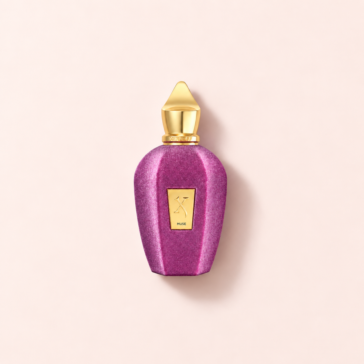 Xerjoff V Collection Muse 100 ml