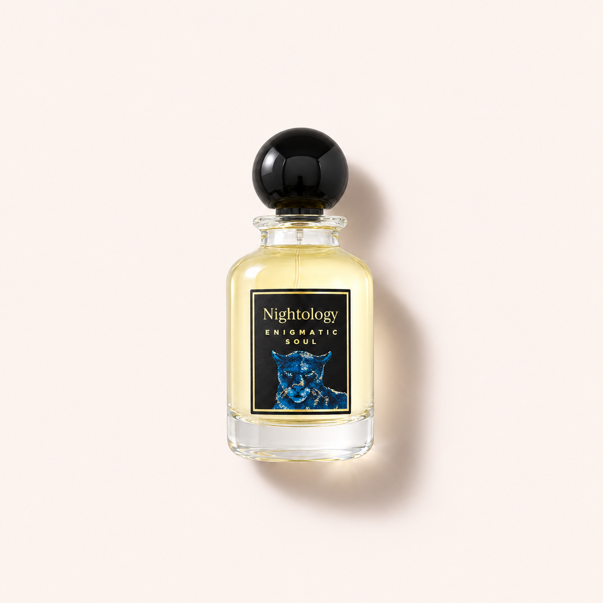 Jesus Del Pozo Nightology Enigmatic Soul 100 ml parfémovaná voda – MrRizz