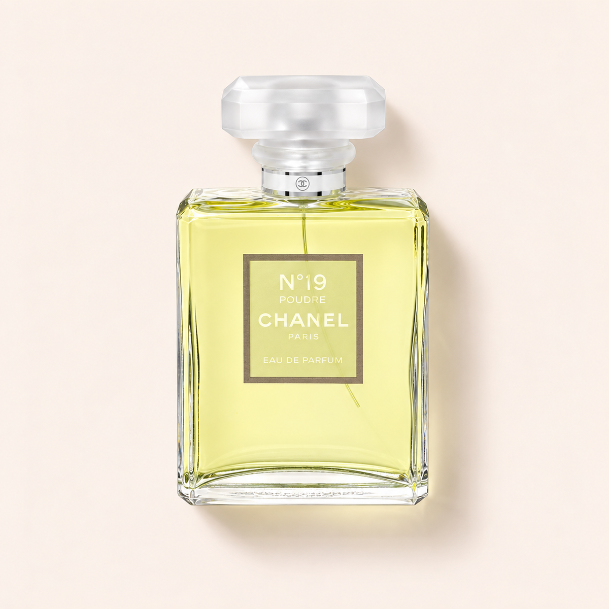 Chanel No. 19 Poudre 100 ml – MrRizz