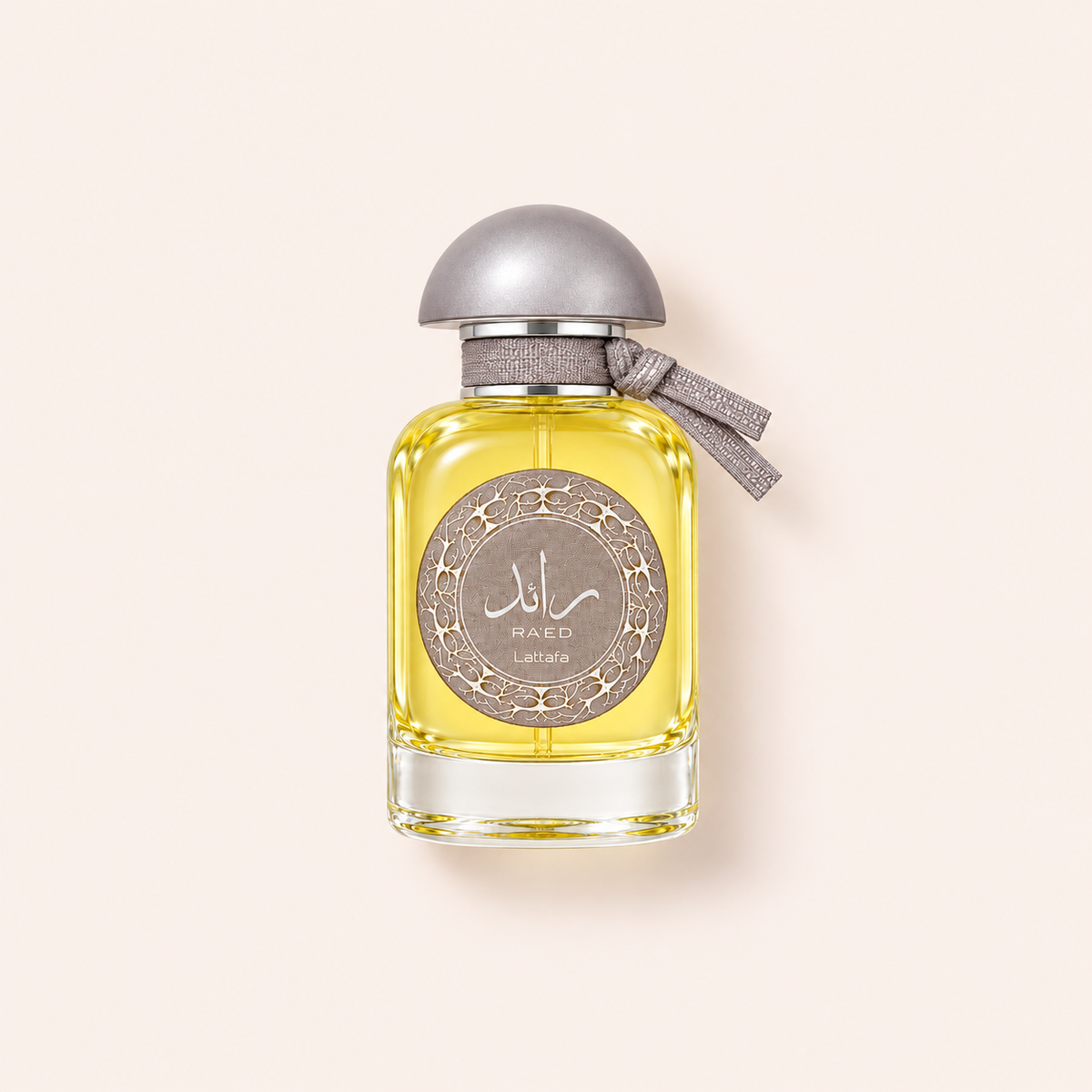Lattafa Ra'ed Silver 100 ml – MrRizz
