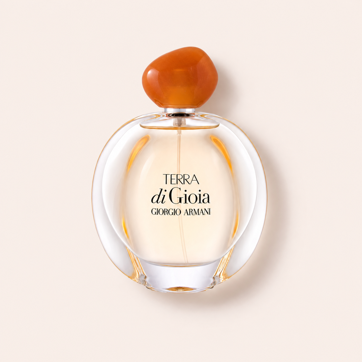 MrRizz titulní fotografie – Giorgio Armani Terra di Gioia 100 ml