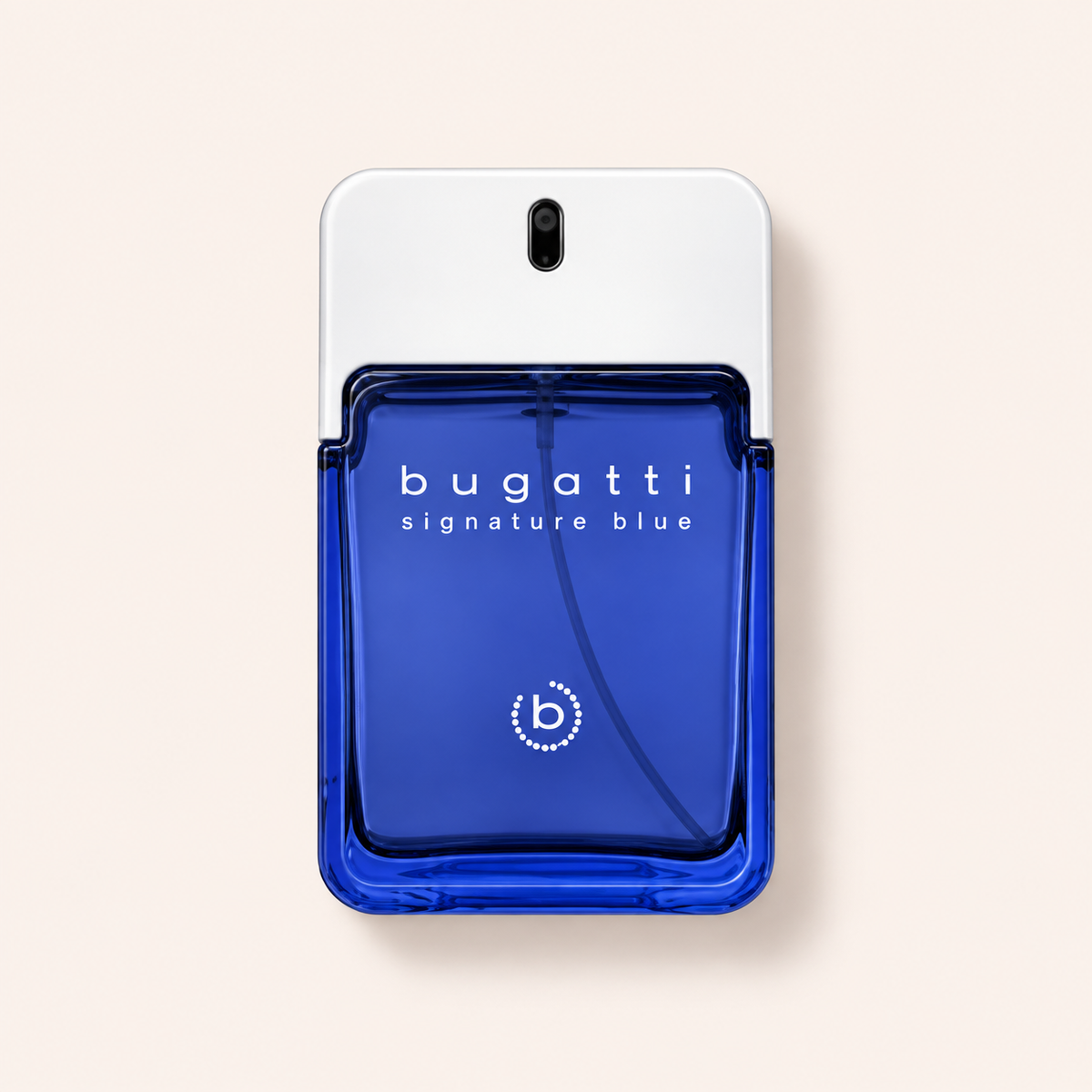 Bugatti Signature Blue 100 ml – MrRizz