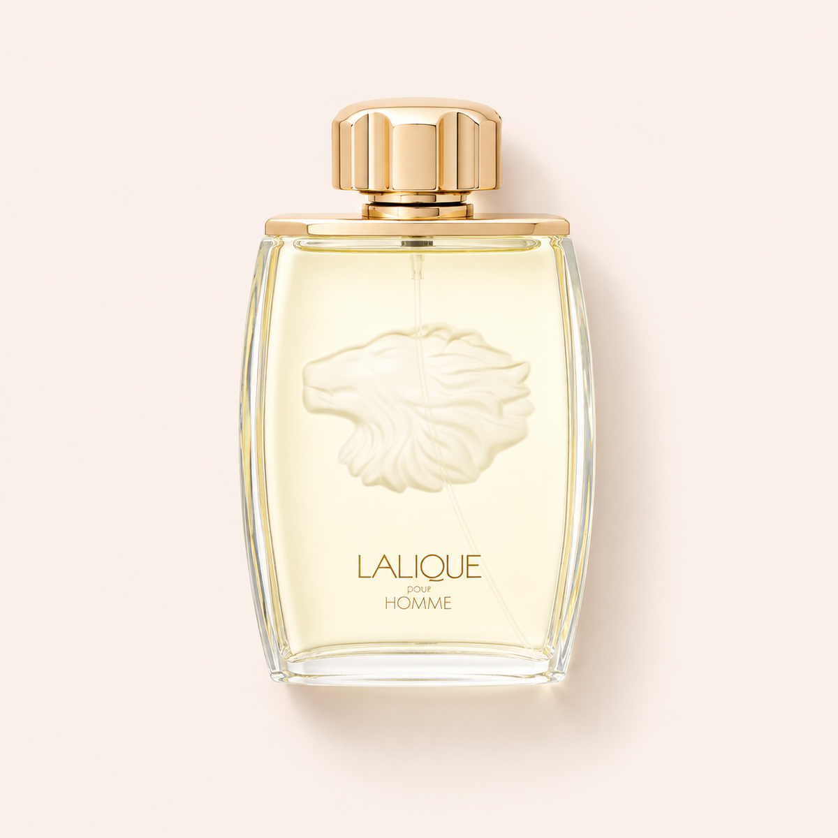 Lalique Pour Homme 125 ml – MrRizz