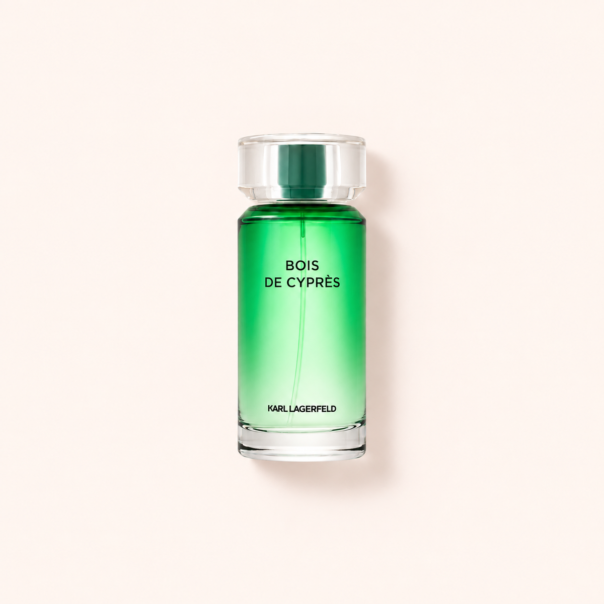 Karl Lagerfeld Les Parfums Matieres Bois de Cypres 100 ml – MrRizz