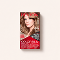 Revlon ColorSilk Beautiful Color odstín60 Dark Ash Blonde – produktové balení na světlém pozadí – MrRizz