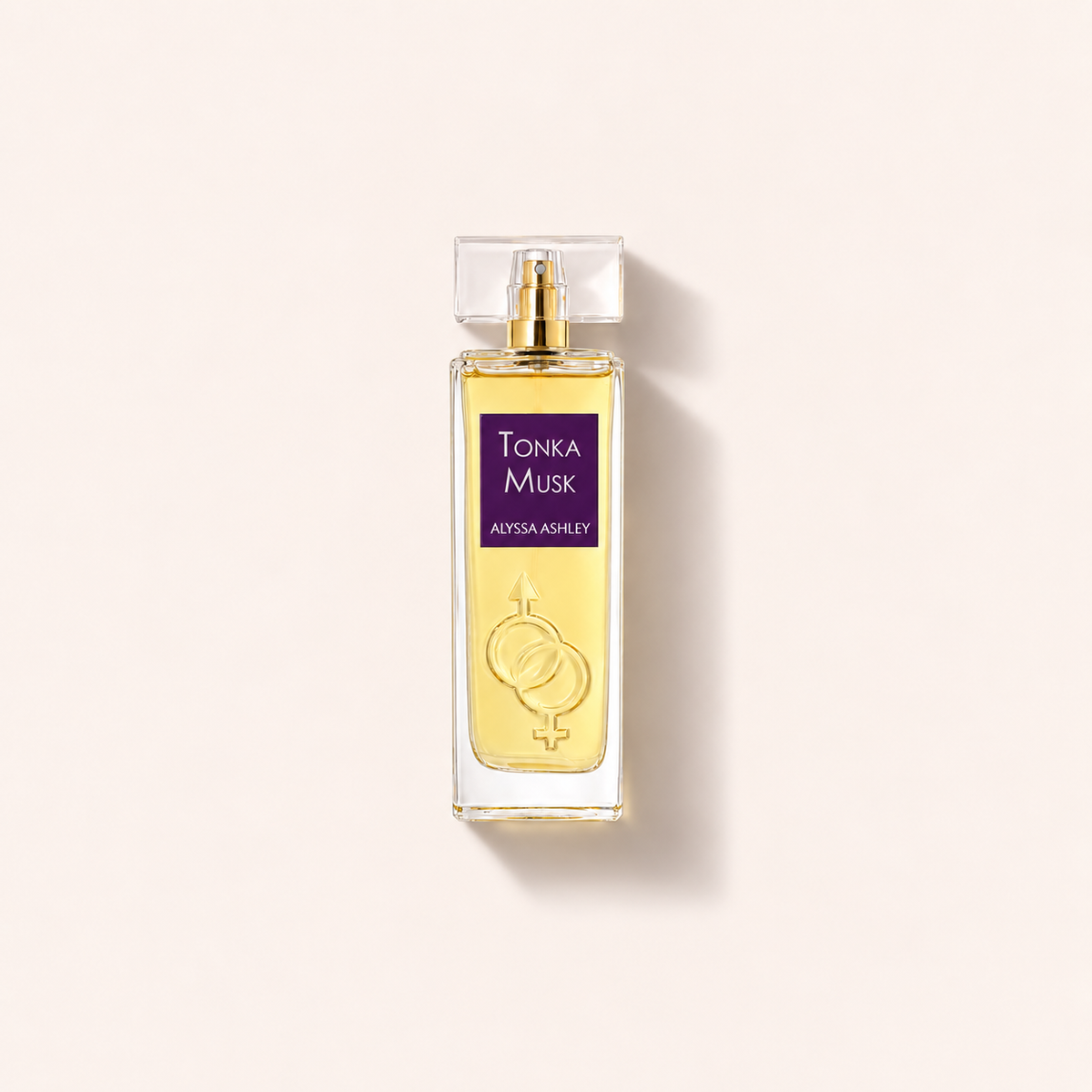 Alyssa Ashley Tonka Musk 100 ml – MrRizz