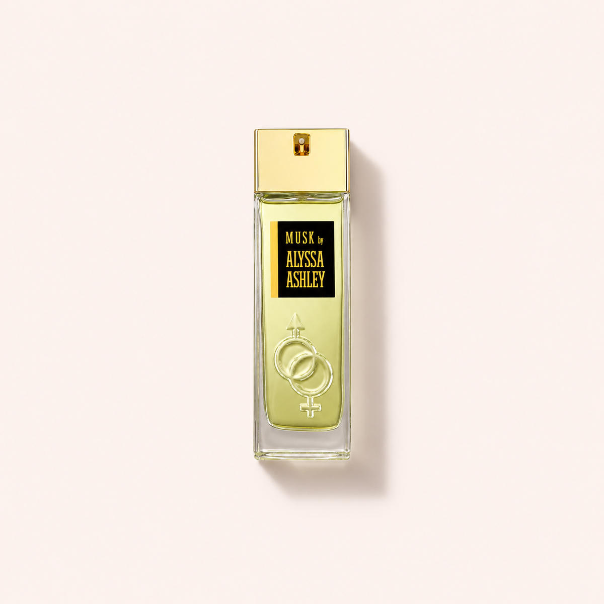 Alyssa Ashley Musk 100 ml