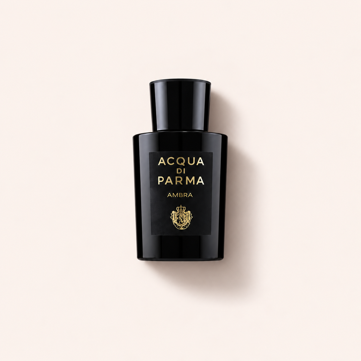 Acqua di Parma Signatures Of The Sun Ambra 100 ml – MrRizz