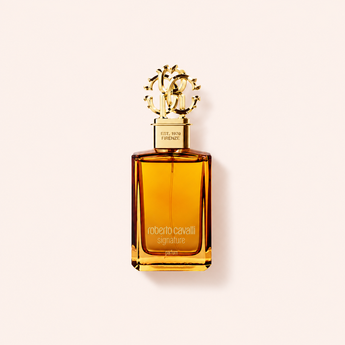 Roberto Cavalli Signature Parfém 100 ml – MrRizz