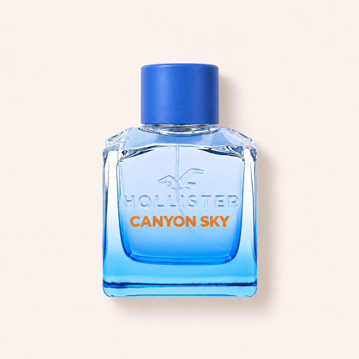 Hollister Canyon Sky EDT 100 ml – MrRizz