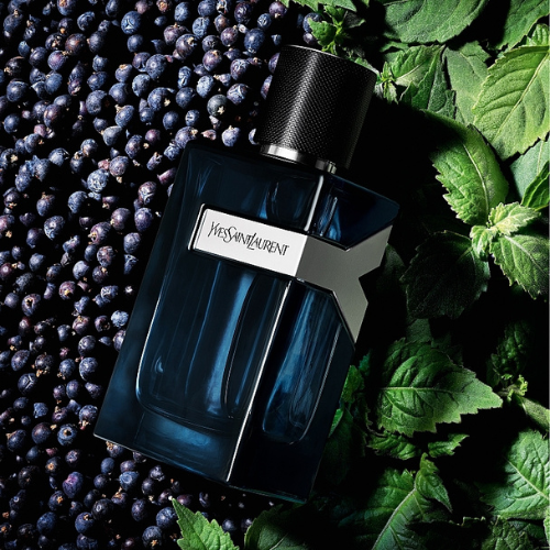 YSL Y Intense EDP